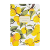 Тетрадь "Flora. Paradise. Абрикосы", A5, 40 листов, клетка, белый, желтый - 2