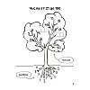 Книга "Запоминалки по математике. 2 кл", Ковалевская Н.Л. - 5