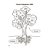 Книга "Запоминалки по математике. 3 кл", Ковалевская Н.Л. - 5