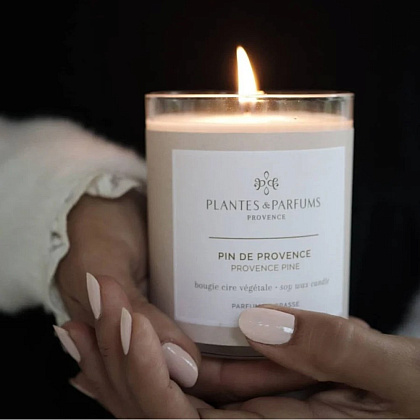 Свеча ароматическая PLANTS&PARFUMS "Provence Pine" ,180 гр.  - 4