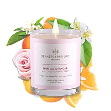 Свеча ароматическая PLANTS&PARFUMS "My Lovely Orange Tree", 180 гр., подарочная упаковка