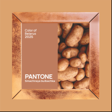 Скетчбук "Pantone 2025", 12х12 см, 140 г/м2, 80 листов, капучино