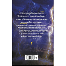 Книга "Искра", Сара Бет Дёрст