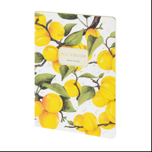 Тетрадь "Flora. Paradise. Абрикосы", A5, 40 листов, клетка, белый, желтый