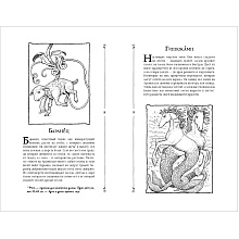 Книга "Невероятные создания", Кэтрин Ранделл
