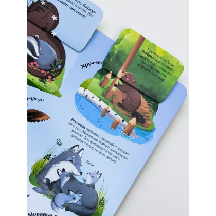 Книга "Книжка с окошками. Мир животных" - 7