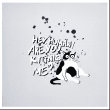 Альбом для рисования "Hey human кот", 170x170 мм, 40 листов, склейка, голубой