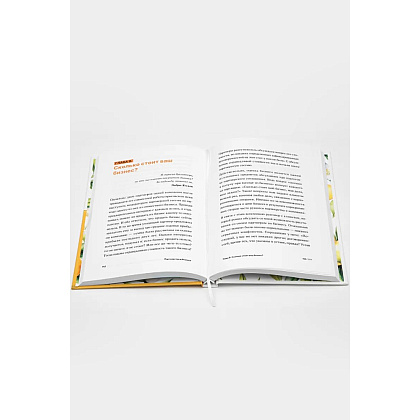 Книга "Партнерство в бизнесе", Александр Степановский - 5