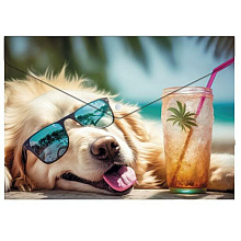 Папка-конверт на кнопке "Chillout dog", А5, разноцветный