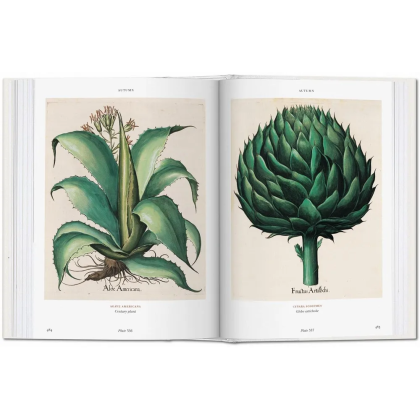 Книга на английском языке  "Florilegium. The Book of Plants. Garden at Eichstatt"  - 2