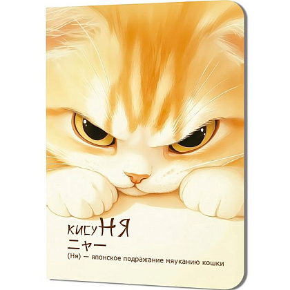 Блокнот "КисуНЯ. Котик хмурится", 24 листа, в клетку