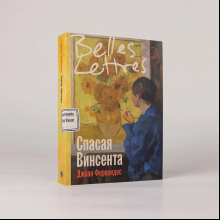 Книга "Спасая Винсента", Джоан Фернандес