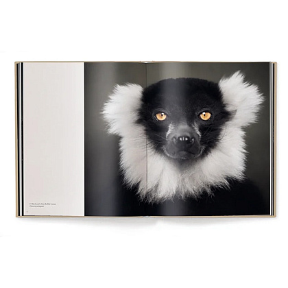 Книга на английском языке "Between Us. Animal Portraits" HB, Vincent Lagrange - 3