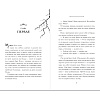 Книга "Искра", Сара Бет Дёрст - 6