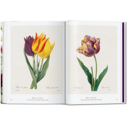 Книга на английском языке "The Book of Flowers", Pierre-Joseph Redoute - 2