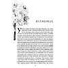 Книга "Письмо незнакомки", Стефан Цвейг - 3