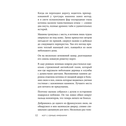 Книга "Кот с семью именами. Счастье приходит к тому, кто верит в чудеса", Федерико Сантаити - 8