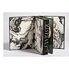 Книга на английском языке "The Fantastic Gustave Dore", Alix Pare - 3