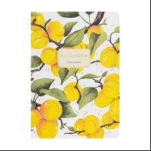 Тетрадь "Flora. Paradise. Абрикосы", A5, 40 листов, клетка, белый, желтый