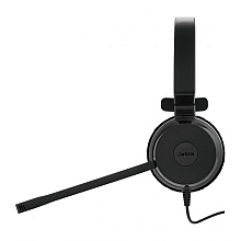 Наушники с микрофоном Jabra "Evolve 20 UC Stereo"