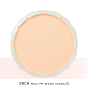 Ультрамягкая пастель "PanPastel", 280.8 тинт оранжевый - 2