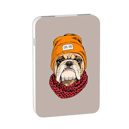 Внешний аккумулятор "Ritmix RPB-10007 BULLDOG", 10000 мА·ч - 2