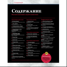 Книга "Анатомия. Создание реалистичных людей и животных + мастер-классы по QR-коду", FX Imagine