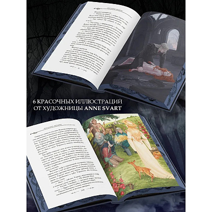 Книга "Ведьмак. Последнее желание" (Подарочное издание), Анджей Сапковский - 7