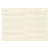 Ежедневник недатированный "FIORENZO Note Book", A5, 168 страниц, черный - 7