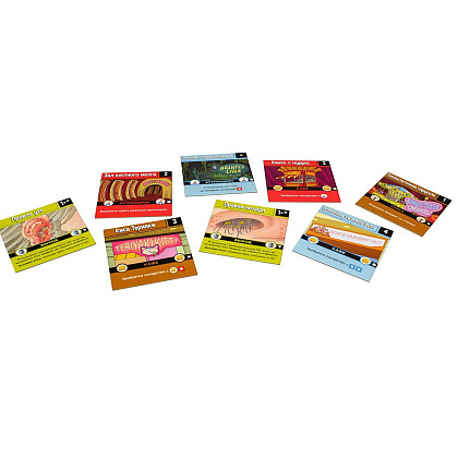 Игра настольная "Рик и Морти: Анатомический парк" (915343) - 5