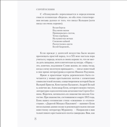 Книга "Самая полная биография. Есенин", Василий Берг - 7