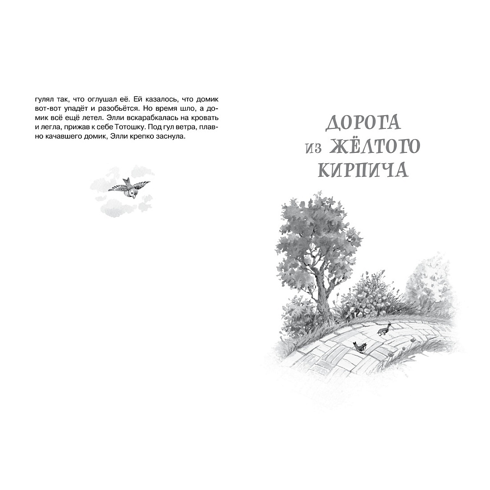 Книга "ЧЛУ. Волшебник Изумрудного города", Александр Волков - 6