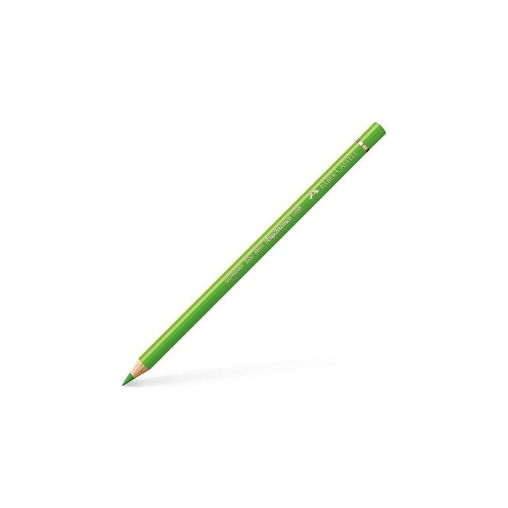 Карандаш цветной "Polychromos", 166 зеленый травяной