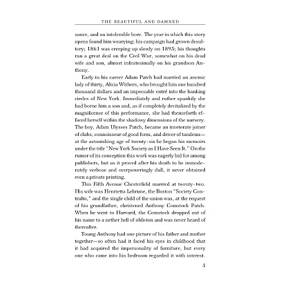 Книга на английском языке "The Beautiful and Damned", Фрэнсис Скотт Фицджеральд - 4