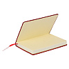 Ежедневник недатированный "FIORENZO Note Book", A5, 168 страниц, бордовый - 4