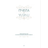 Книга "Ночные феи", Паоло Барбьери - 11