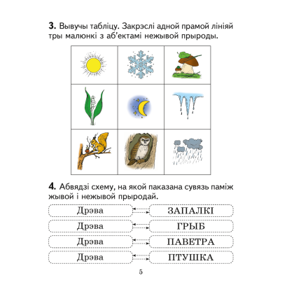 Чалавек i свет. 2 клас. Практыкум (з каляровымi iлюстрацыямi), Трафімава Г. У., Трафімаў С. А. - 5