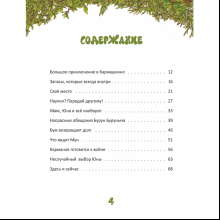 Книга "Приключения в Кармашкино", Ситников А.