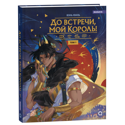 Книга "До встречи, мой король! Том 1", Вэнь Юань 
