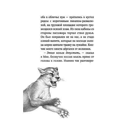 Книга "Караг и волчье испытание (#7)", Катя Брандис - 8