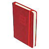 Ежедневник недатированный "FIORENZO Note Book", A5, 168 страниц, бордовый - 2