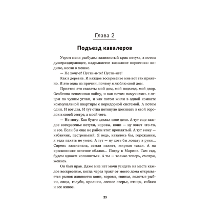 Книга "Чёрный замок Ольшанский", Владимир Короткевич - 9