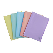 Папка с файлами "Chromaline Pastel", 20 карманов, ассорти