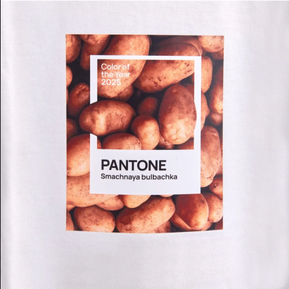 Набор сувенирный "Футболка унисекс оверсайз "Pantone 2025", XS-S, белый + открытка-стикер 3D" - 6
