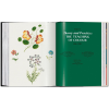 Книга на иностранных языках "The Book of Colour Concepts" HB, Alexandra Loske - 6
