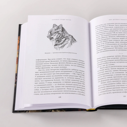 Книга "Человек среди котов. История близкого соседства", Наталья Резник - 7