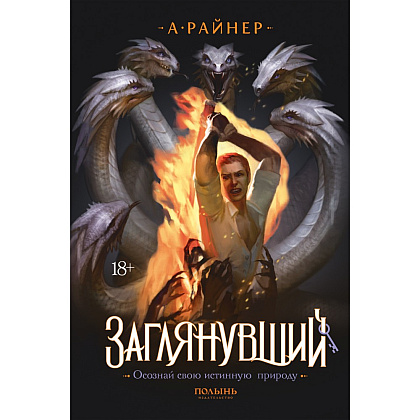 Книга "Заглянувший", Анастасия Райнер