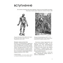 Книга "МОРФО. Анатомия для художников", Мишель Лауричелла
