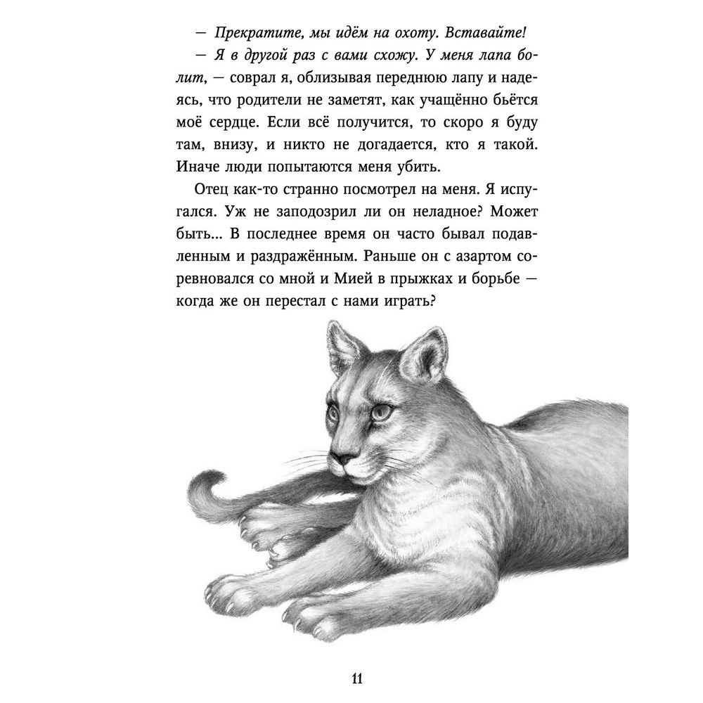 Книга "Тайна Холли (#3)", Катя Брандис - 5