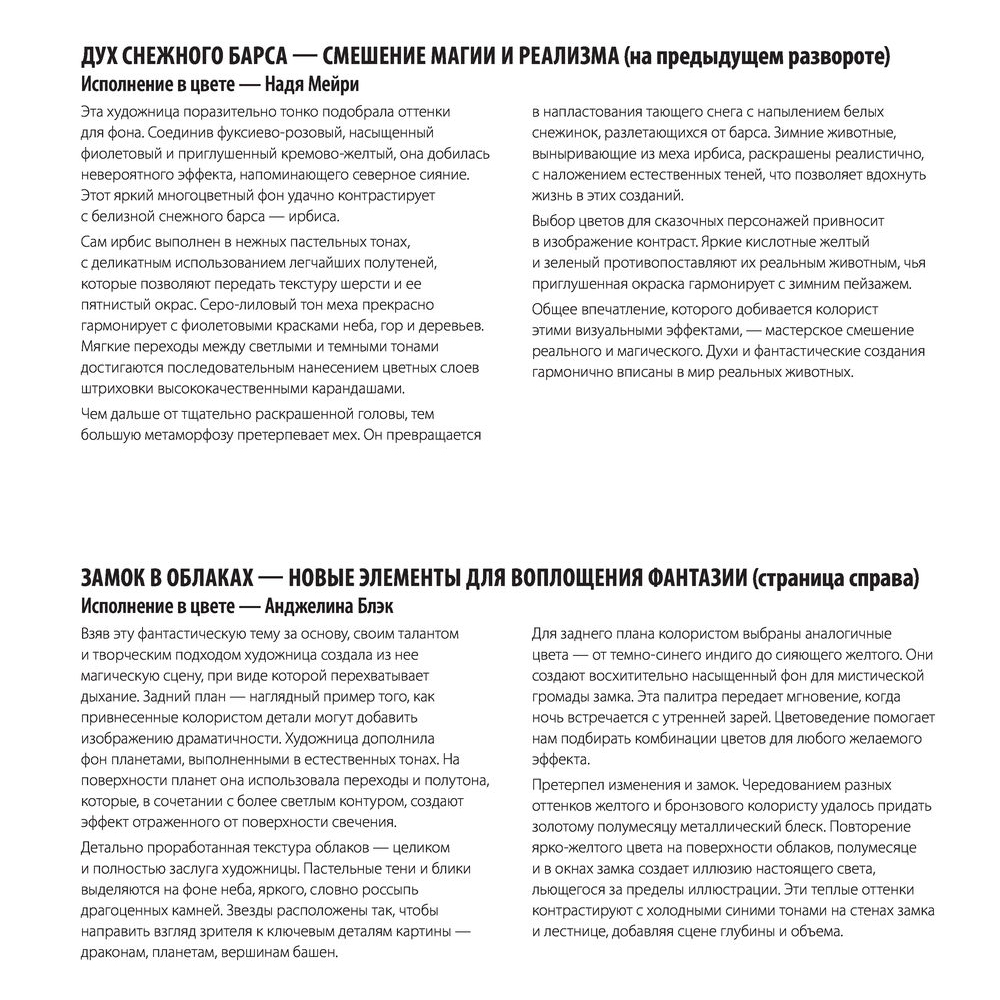 Раскраска "Грани разумного. Лучшие экстремальные раскраски", Розанес К. - 7